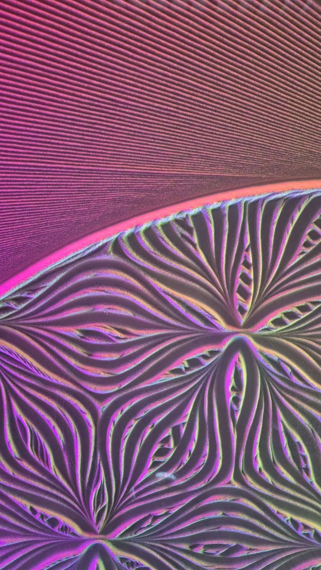 Dimension M